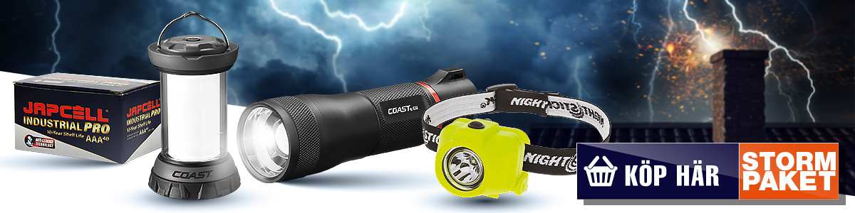 Vejret i Sverige - Så förbereder du dig för nästa snö storm  - Batterionline