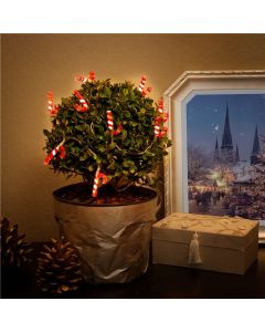 Goobay ljuskedja julpinnar med 10 LED -lampor